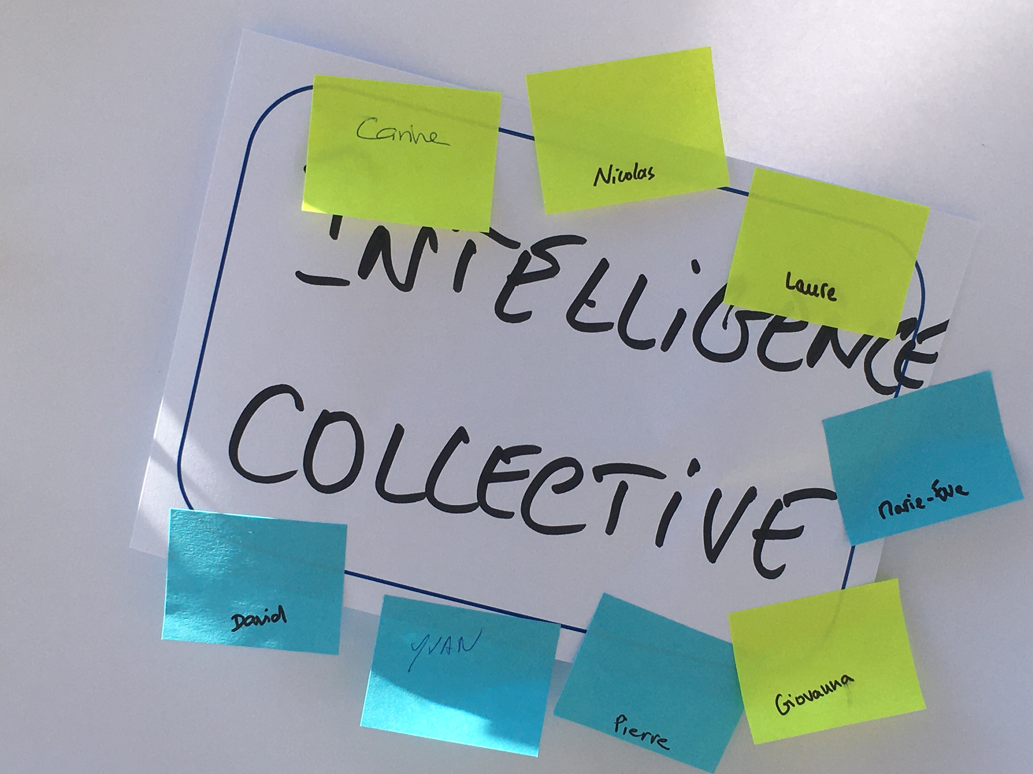 intelligence collective