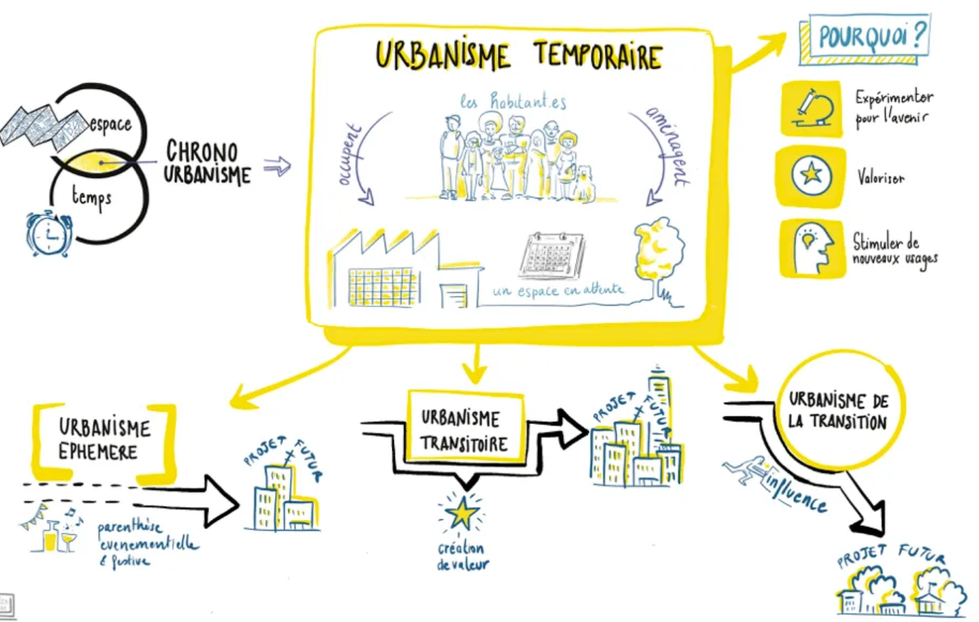 Illustration de Lou Herrmann (2020)
